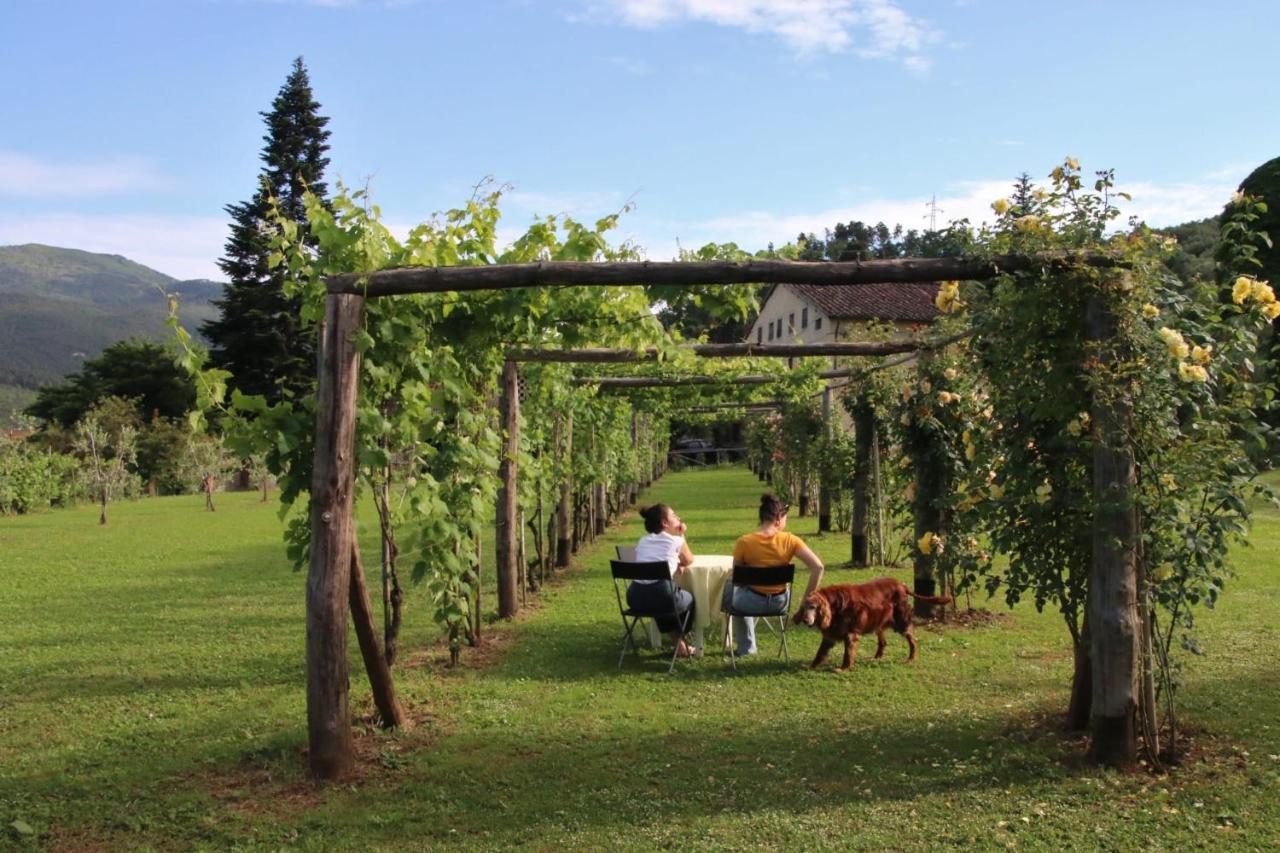 Casa Gaia Guest House Лука Екстериор снимка