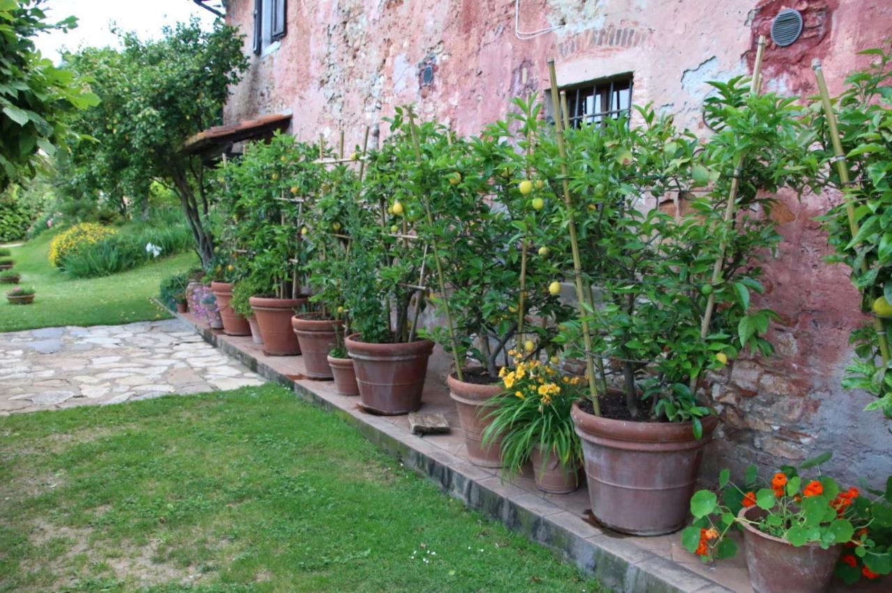 Casa Gaia Guest House Лука Екстериор снимка
